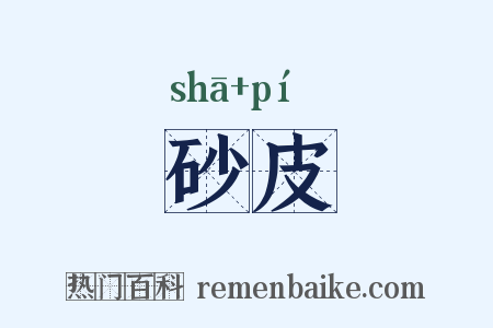 砂皮是什么意思的图片